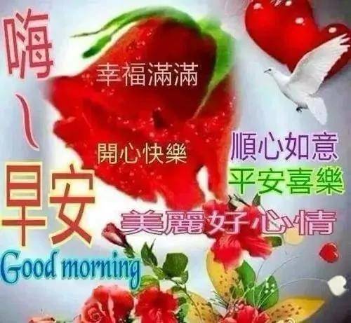 4月16日问候大家早上好动图表情美女2020,清晨祝福早上好问候语