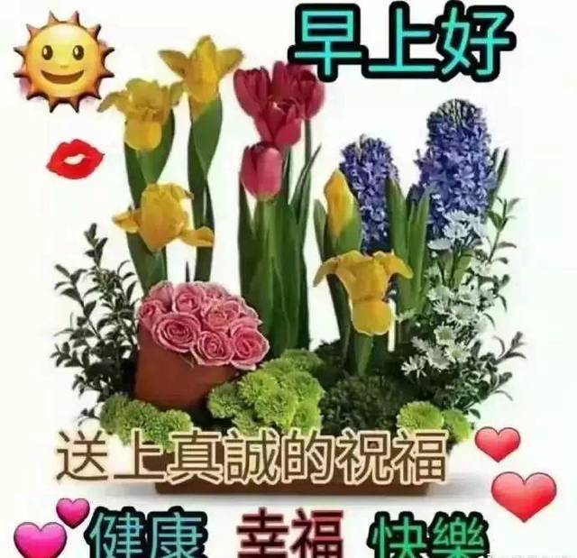 2020最美早安问候祝福语图片带字温馨 早安漂亮问候图片短信祝福语