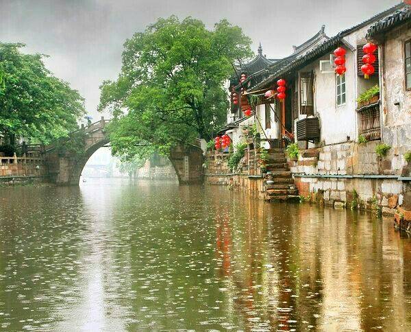 庚子年,这个春天总是怀念故乡的雨