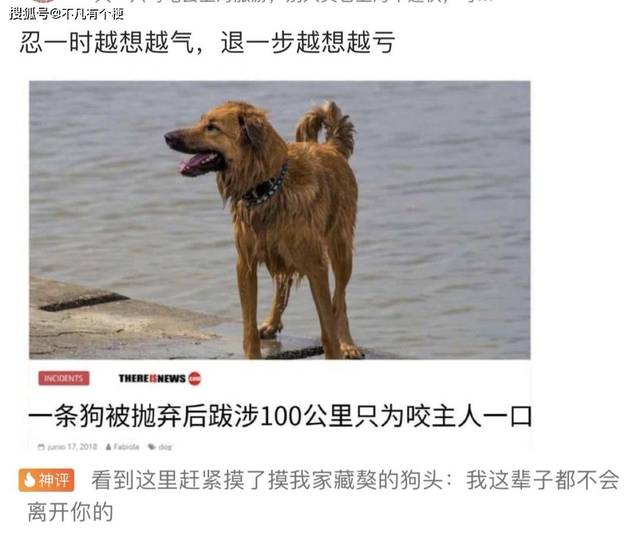 搞笑图片合集,看到最后一张笑死人!