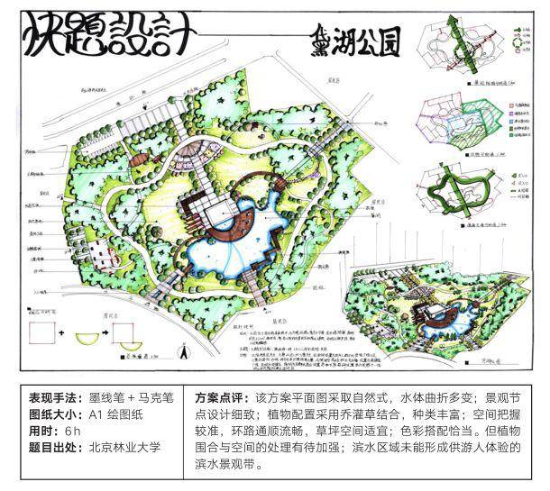 超实用的景观手绘 | 21天突破手绘与快速设计