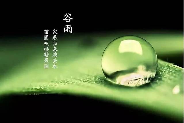 独惭出谷雨,未变暖天风 | 谷雨诗歌