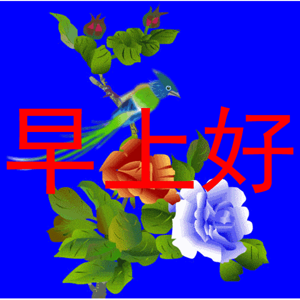 2020特漂亮早上好表情动态图片 微信清晨早上好祝福短信精选_手机搜狐