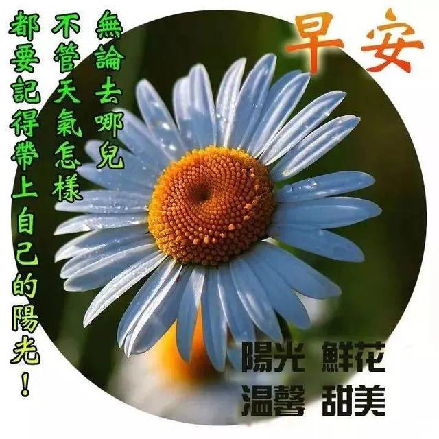 4月19日谷雨群发早上好问候祝福动态表情图片 4月最美