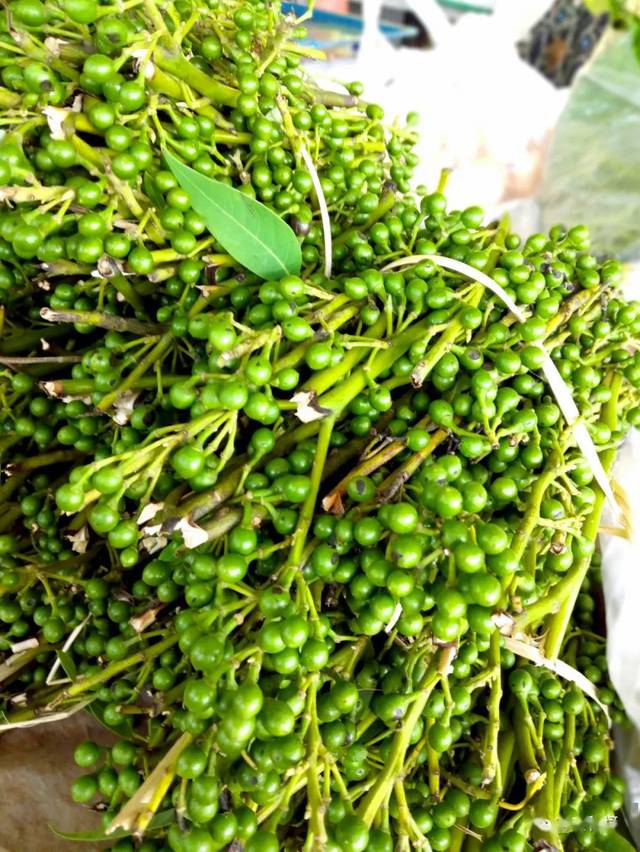 自然,生态的山茅野菜