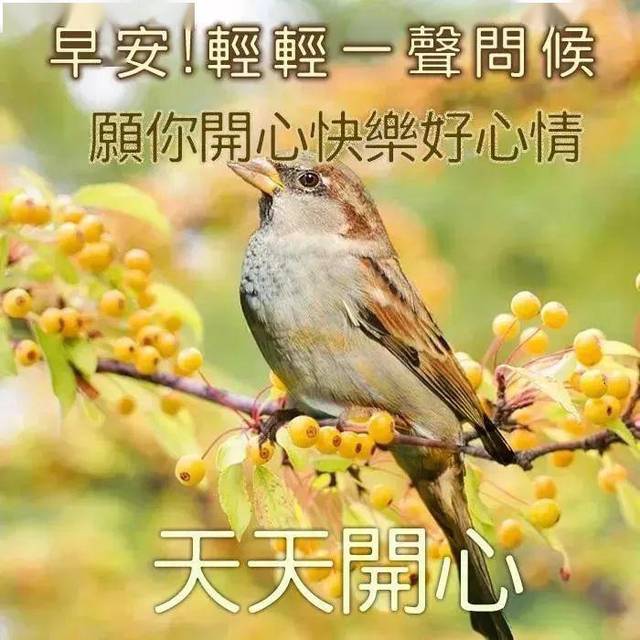 4月19日谷雨群发早上好问候祝福动态表情图片 4月最美