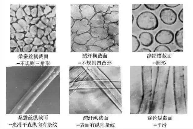 醋酯纤维横截面呈不规则凹凸,二者的纵截面都有纵向条纹,使其横向光为