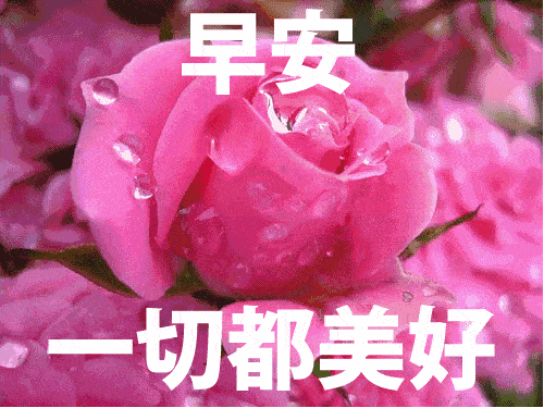 唯美的早安图片,祝福语表情大全,早安!_手机搜狐网