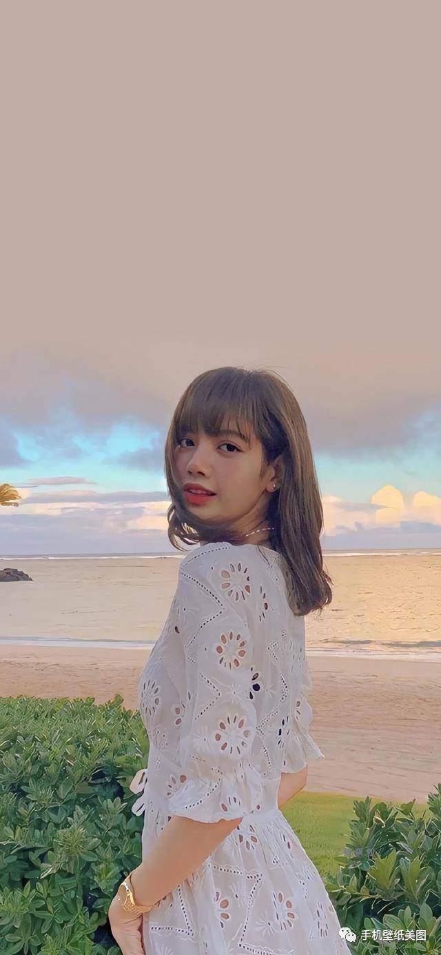 lisa壁纸全屏,lisa手机壁纸竖屏