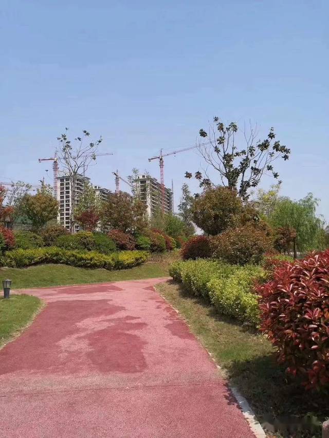 总投资2亿,占地2000亩,漯河又一处湿地公园已开建.