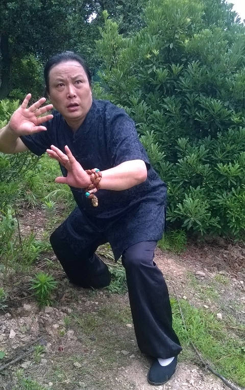 尚派形意拳内功——八桩