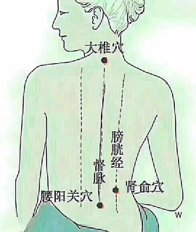 女人常做经络1年后会比同龄人年轻5到10岁