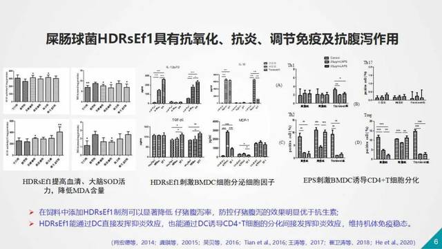 最新,最全,最前沿替抗方案大分享!中畜兴牧直播间云会议精彩回顾!