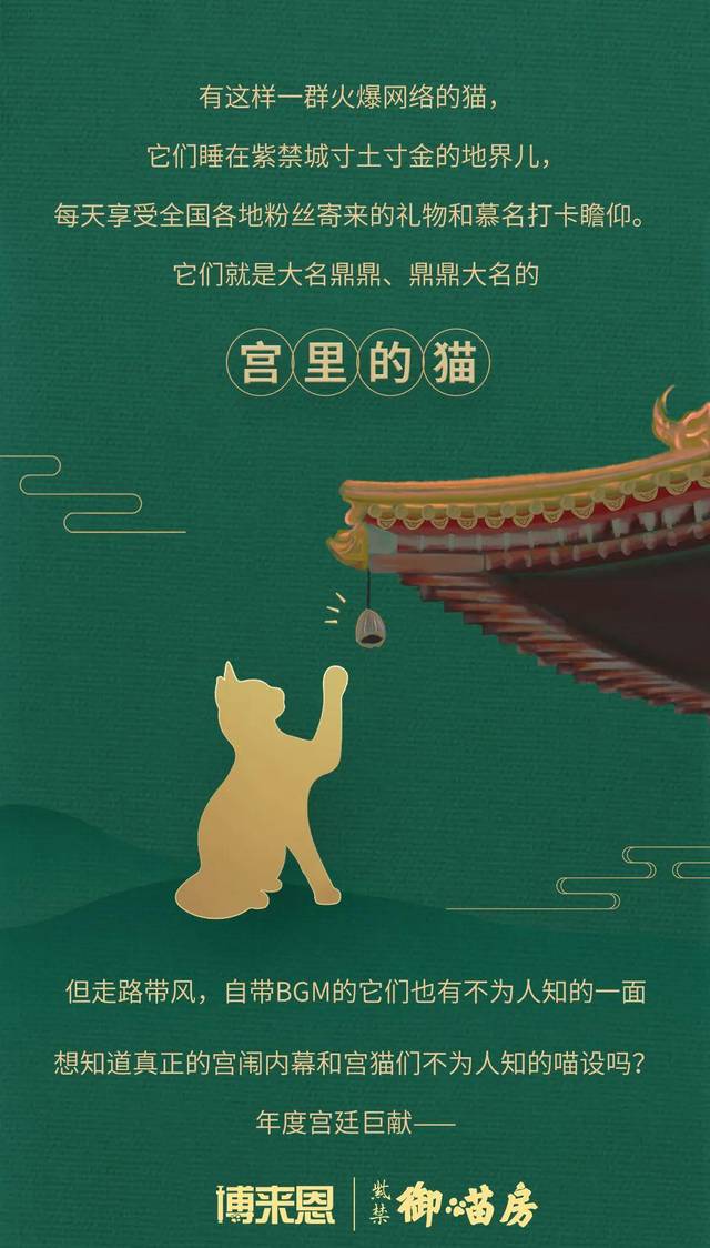 养尊处优的宫廷御猫,竟然跟我家猫有着同样的烦恼!