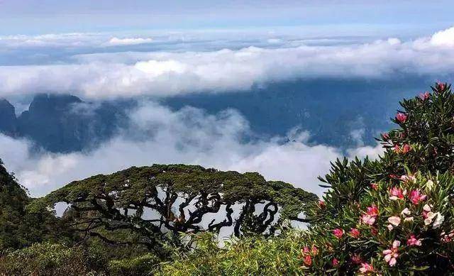 邀您免费畅游金秀巴勒山玻璃栈道,打卡天空之城