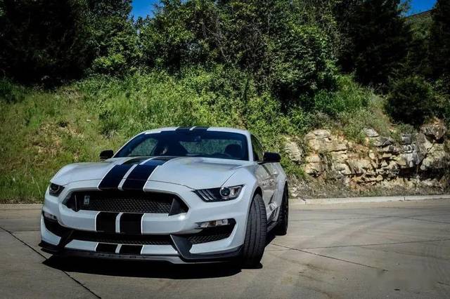福特野马谢尔比gt350