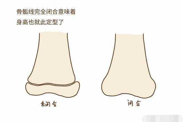 60米多徘徊了,到了25岁骨骺线一闭合,你就永远只能这么高了,你想达到