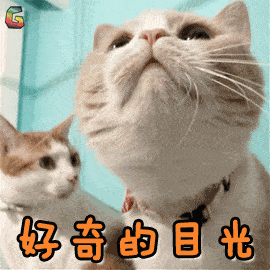 官宣!烟台发布2019年全民阅读指数