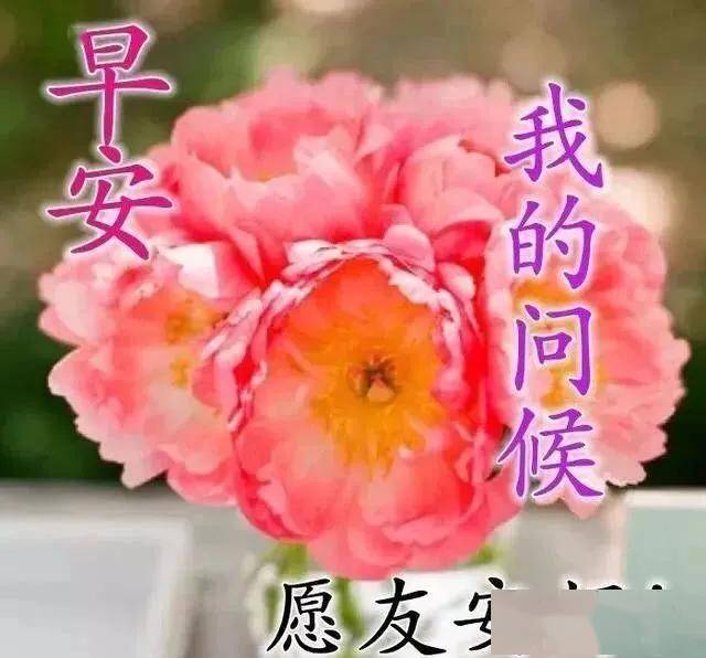 4月22日星期三,唯美又温馨的早安祝福语图片 早上问候