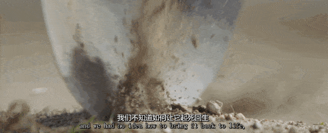 如果就这样以为他们从此过上幸福快乐的农家生活,养养花,种种树,闲来