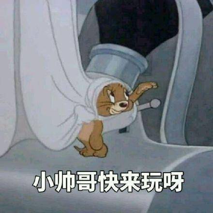 猫和老鼠沙雕表情包:不服你顺着网线来打我啊