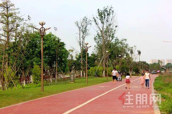 贵港这个公园随手一拍都是壁纸,您不会还没去过吧?