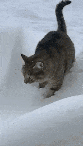 272_480 竖版 竖屏