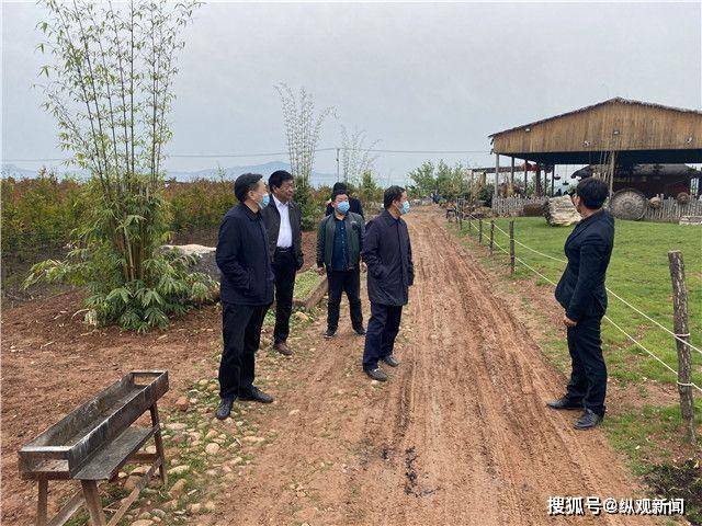 南阳市人大农工委副主任贾斌深入西峡县阳城镇进行实地调研工作_手机