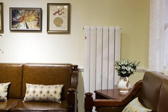 星空体育app下载:
暖气片的安装费几多钱一平呢?(图4) 星空体育app下载:
暖气片的安装费几多钱一平呢?(图4)