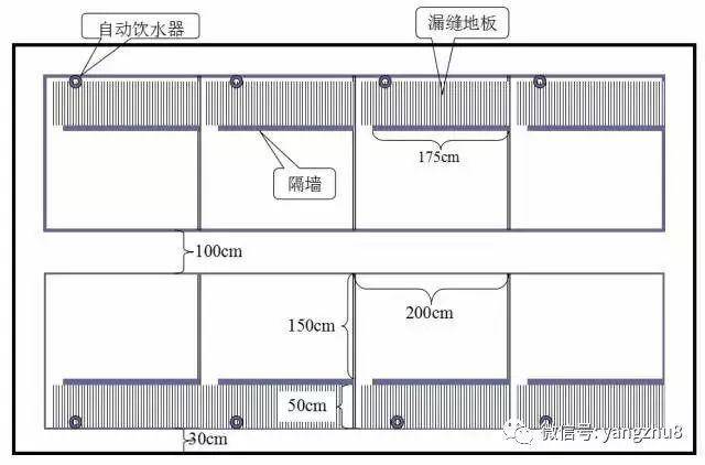 【图文】猪舍布局设计图(细节尺寸图纸),猪场建设改造