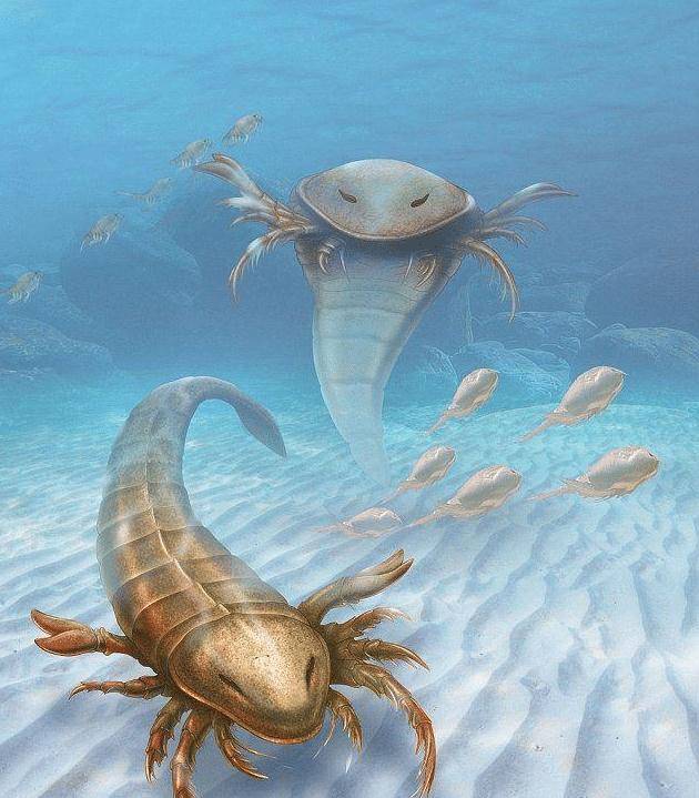在爱荷华州发现了迄今发现的最大和最古老的海蝎物种的"保存完好"的