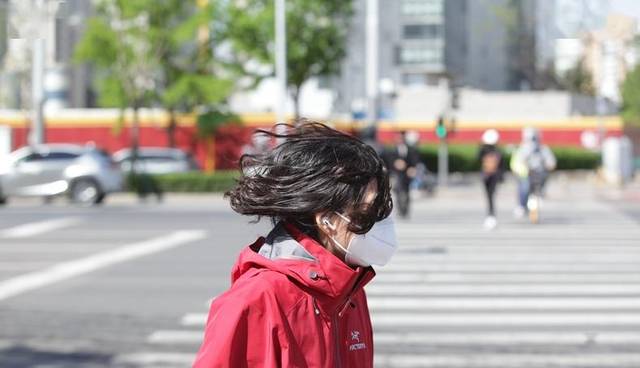 北京四月的大风,像是要把春天吹跑