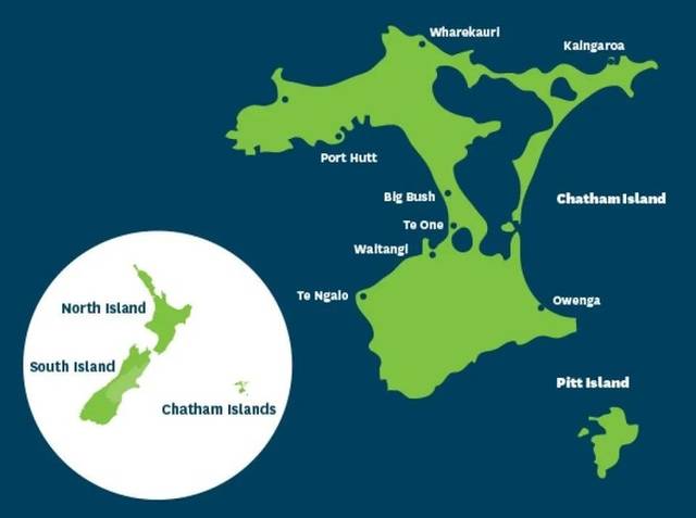tim lawnicki  这些偏远的岛屿是一片真正的原始奇观地  查塔姆群岛
