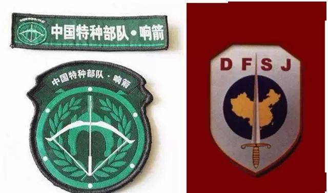 中国十大特种部队及其专属臂章,你喜欢哪一个?