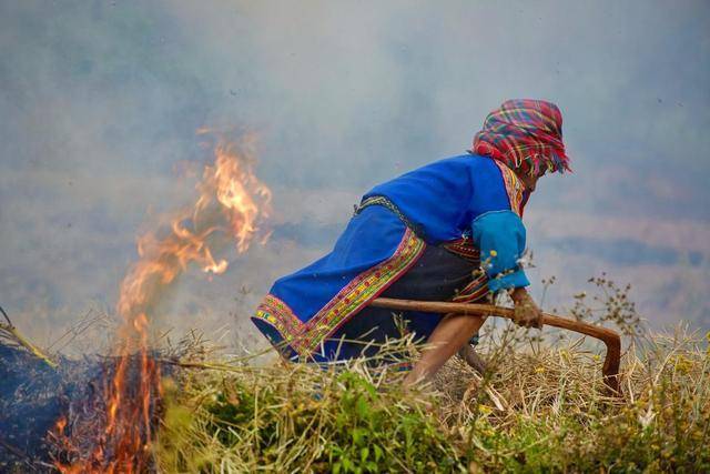 传统的垦荒方式:刀耕火种