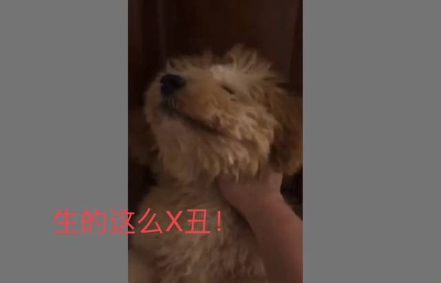 e2134acd3eba414eae688a63ab4aea81.jpeg