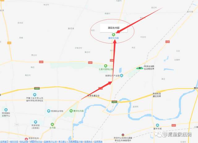 活动地点:菏泽国花牡丹园(原盛华牡丹园) 220国道与259省道交汇处北行