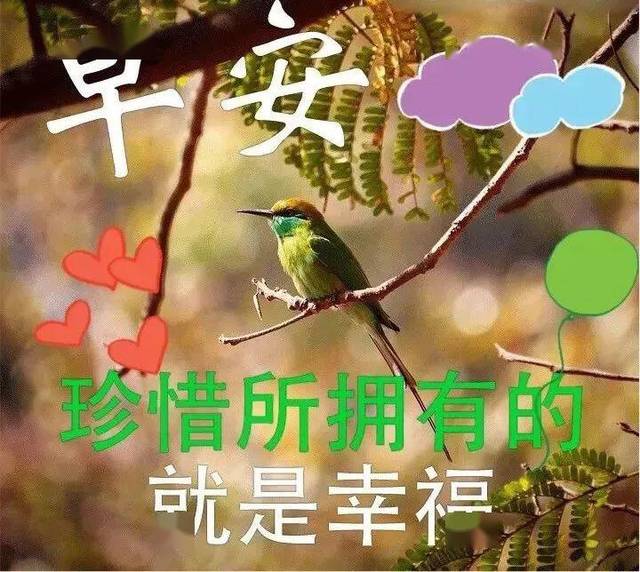 漂亮的风景早上好动态图片带字 温暖的春天关心祝福语句