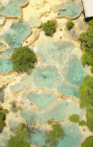 315_498 竖版 竖屏