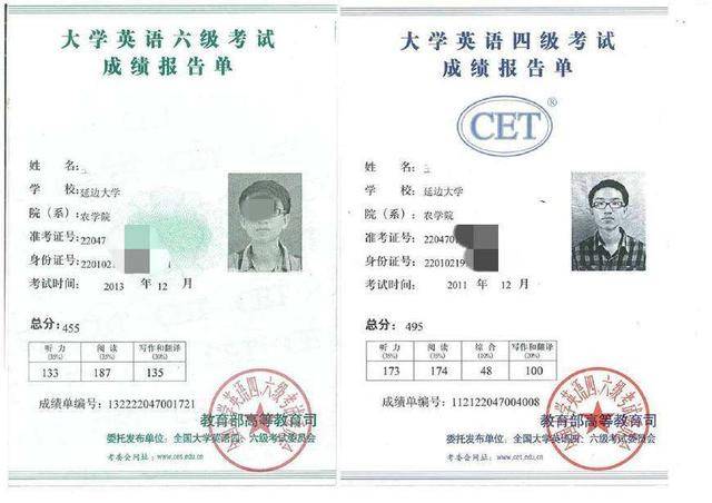 电脑小白的进阶之路：掌握这些技巧不愁解决难题