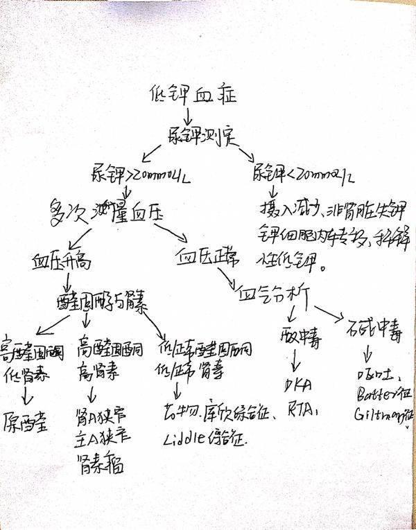 各种低钾血症的诊断思路,快收藏!