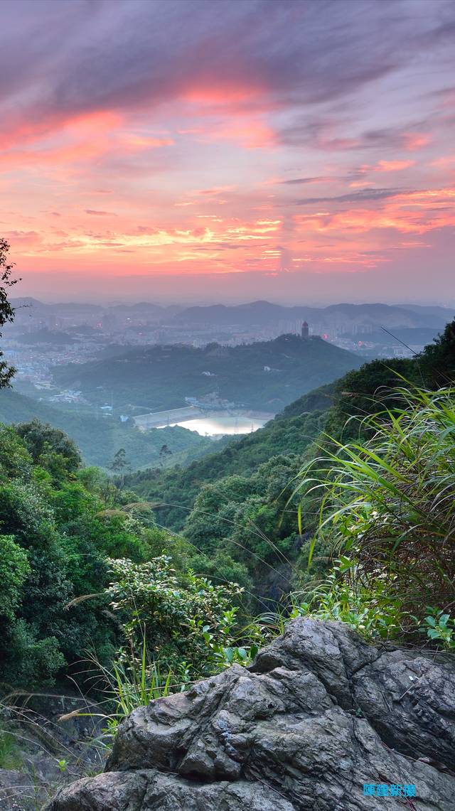 湾区都市,品质东莞:樟木头,一个美丽的山水湖宜居樟城掀开她神奇的