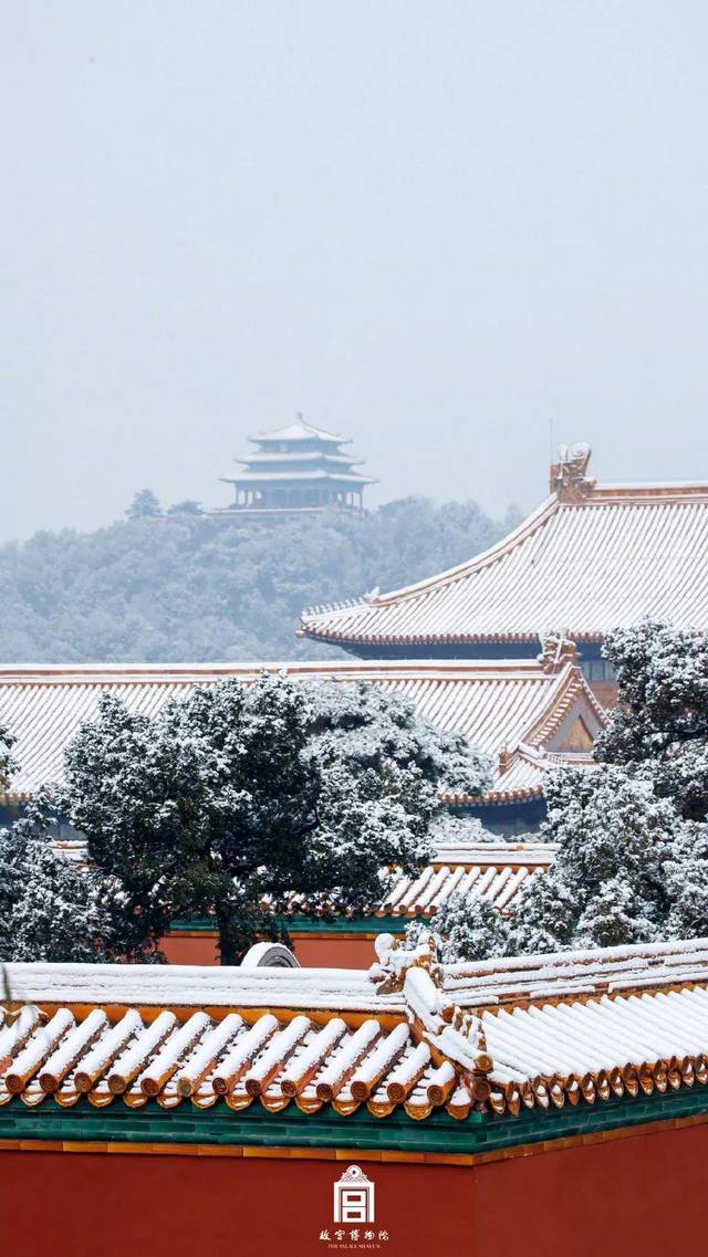 雪落故宫,如诗如画,真正的人间绝色