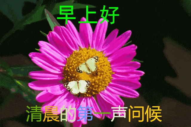 特别漂亮早上好带字动态图 2020最新早上好表情动态图片大全