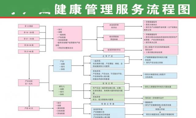 国家基本公共卫生服务项目宣传月——基本公共卫生 为您服务 伴您健康