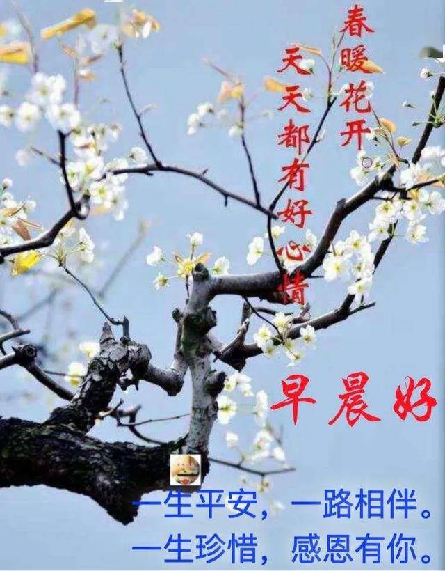 4张春暖花开早安图片带字,唯美的微信朋友圈早上好图片带祝福语