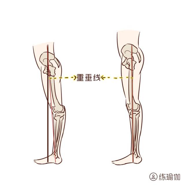 2)利用重垂线,一端固定在股骨大转子,沿着重垂线往下,另一端固定在