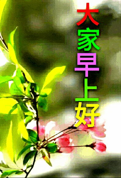 新的五月早上好图片大全祝福语 早上好图片可爱表情包