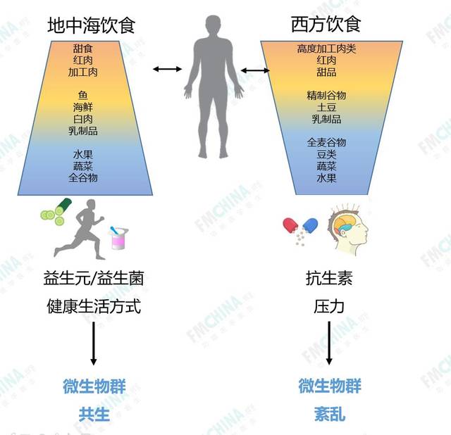 饮食影响肠道菌群