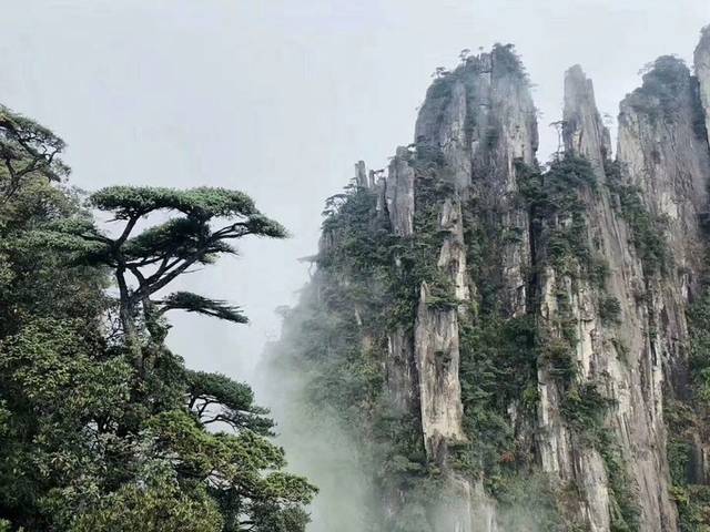 大致花费:650-1200元/人  2,郴州莽山两日游  吃:2早餐4正餐;  住:一